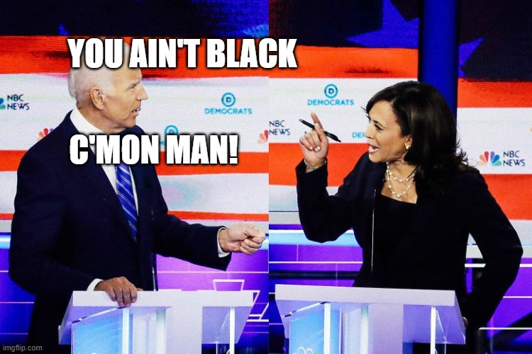 Kamala Harris Attacks Joe Biden | YOU AIN'T BLACK; C'MON MAN! | image tagged in kamala harris attacks joe biden | made w/ Imgflip meme maker