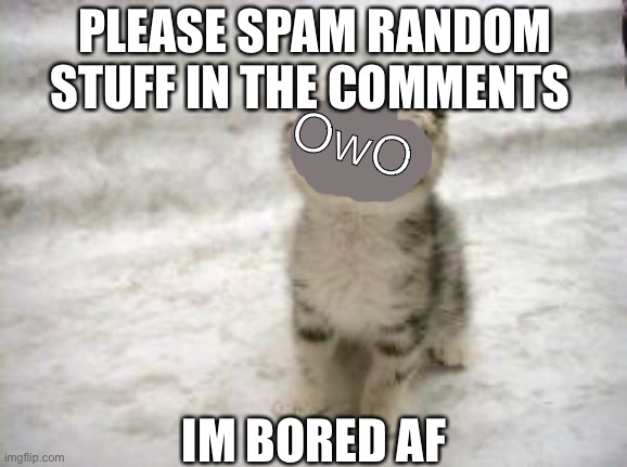 Sad Cat Meme | PLEASE SPAM RANDOM STUFF IN THE COMMENTS; OwO; IM BORED AF | image tagged in memes,sad cat | made w/ Imgflip meme maker