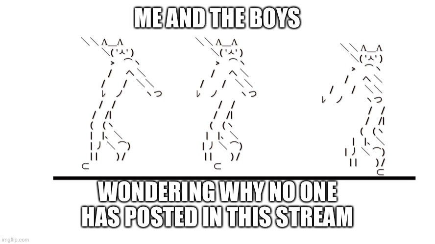 memecat dancn |  ME AND THE BOYS; WONDERING WHY NO ONE HAS POSTED IN THIS STREAM | image tagged in memecat dancn | made w/ Imgflip meme maker