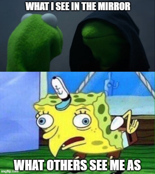 WHAT I SEE IN THE MIRROR; WHAT OTHERS SEE ME AS | image tagged in memes,evil kermit,spungebob,self esteem,funny,sad | made w/ Imgflip meme maker