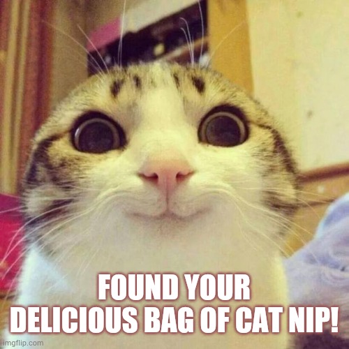Cat nip | FOUND YOUR DELICIOUS BAG OF CAT NIP! | image tagged in memes,smiling cat | made w/ Imgflip meme maker