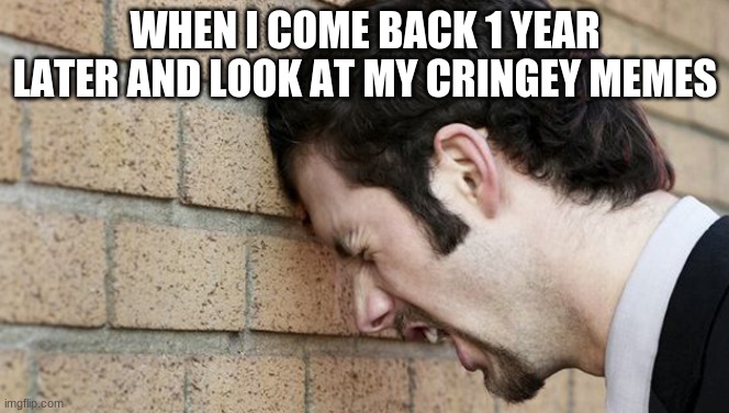 Banging Head against wall | WHEN I COME BACK 1 YEAR LATER AND LOOK AT MY CRINGEY MEMES | image tagged in banging head against wall | made w/ Imgflip meme maker