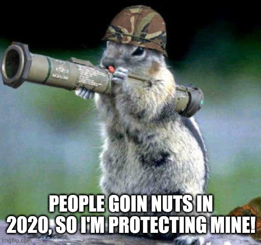 Protect nuts | PEOPLE GOIN NUTS IN 2020, SO I'M PROTECTING MINE! | image tagged in memes,bazooka squirrel | made w/ Imgflip meme maker
