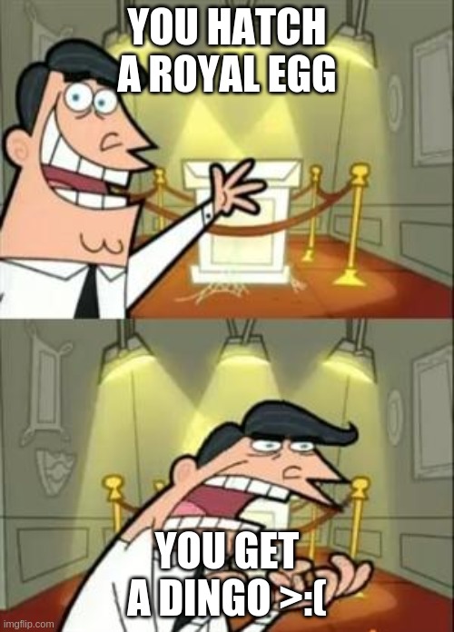 This Is Where I'd Put My Trophy If I Had One | YOU HATCH A ROYAL EGG; YOU GET A DINGO >:( | image tagged in memes,this is where i'd put my trophy if i had one | made w/ Imgflip meme maker