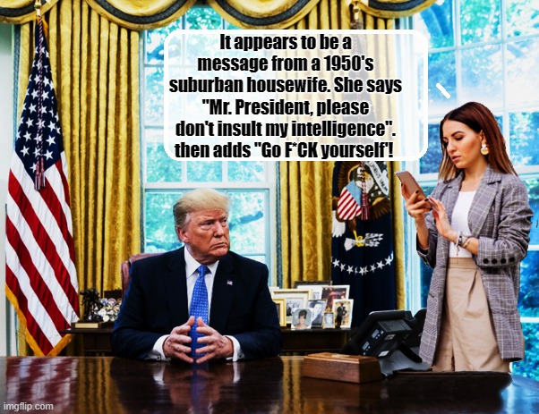Dear Mr. President.... | It appears to be a message from a 1950's suburban housewife. She says "Mr. President, please don't insult my intelligence". then adds "Go F*CK yourself'! | image tagged in trump is a moron,donald trump is an idiot,housewife,turd | made w/ Imgflip meme maker