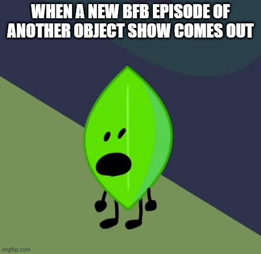 When you hear another object show or a new bfb episode comes out. | WHEN A NEW BFB EPISODE OF ANOTHER OBJECT SHOW COMES OUT | image tagged in surprised leafy | made w/ Imgflip meme maker