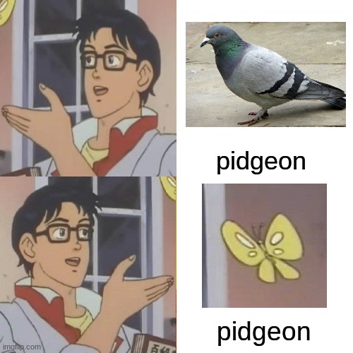 crossover time!!! | pidgeon; pidgeon | image tagged in memes,drake hotline bling,is this a pigeon,crossover | made w/ Imgflip meme maker