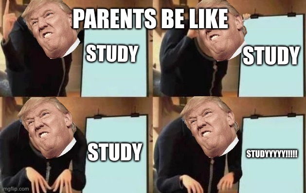 Parents be like | PARENTS BE LIKE; STUDY; STUDY; STUDY; STUDYYYYY!!!!! | image tagged in gru's plan | made w/ Imgflip meme maker