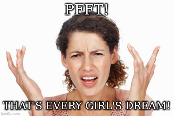 Indignant | PFFT! THAT'S EVERY GIRL'S DREAM! | image tagged in indignant | made w/ Imgflip meme maker