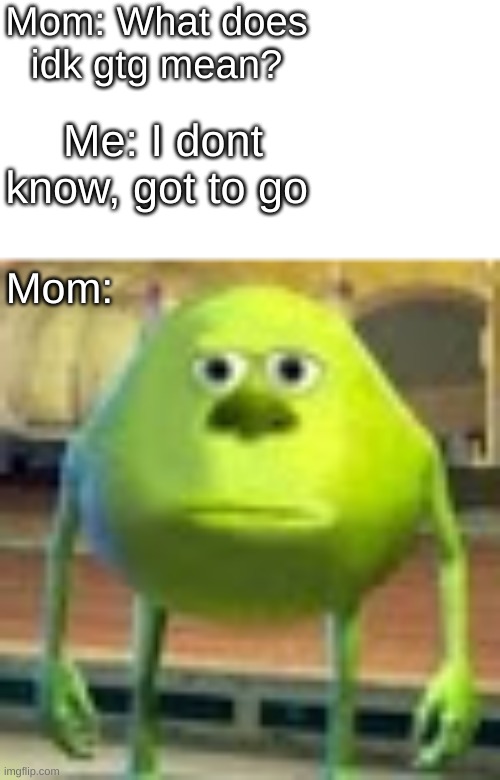 :I | Mom: What does idk gtg mean? Me: I dont know, got to go; Mom: | image tagged in sully wazowski | made w/ Imgflip meme maker