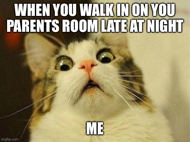 Scared Cat Meme | WHEN YOU WALK IN ON YOU PARENTS ROOM LATE AT NIGHT; ME | image tagged in memes,scared cat | made w/ Imgflip meme maker