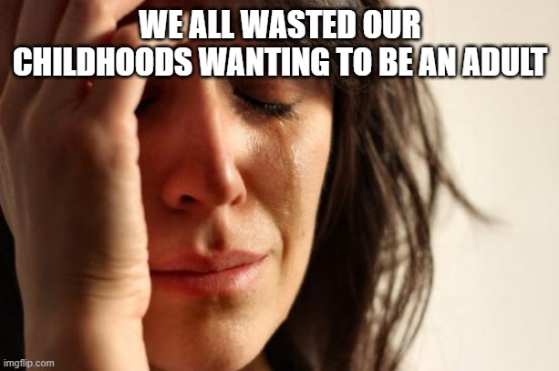 First World Problems Meme | WE ALL WASTED OUR CHILDHOODS WANTING TO BE AN ADULT | image tagged in memes,first world problems | made w/ Imgflip meme maker