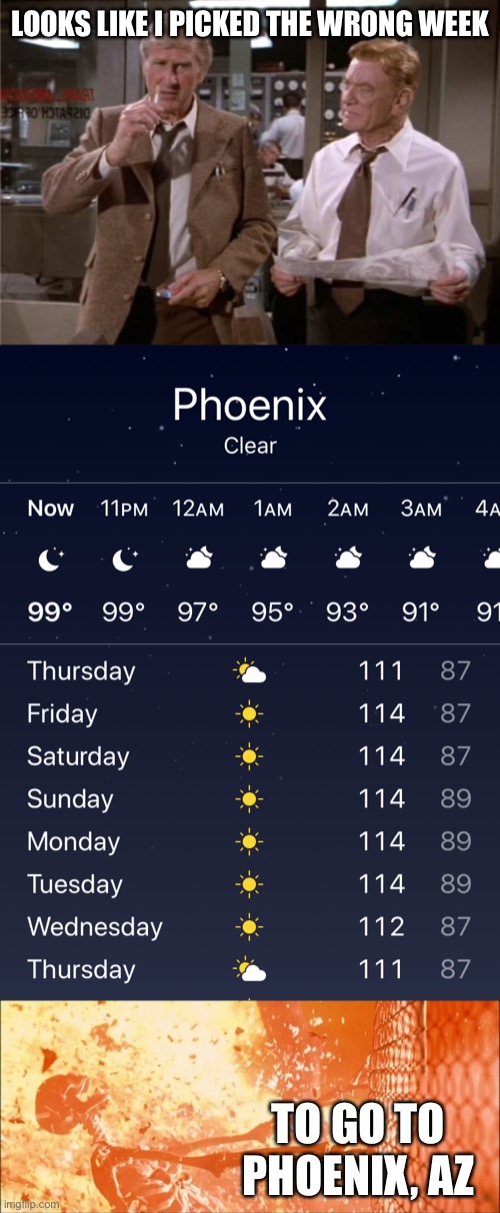 Wrong week to go to Phoenix, AZ | LOOKS LIKE I PICKED THE WRONG WEEK; TO GO TO PHOENIX, AZ | image tagged in airplane wrong week,sarah connor fence nuclear fire death | made w/ Imgflip meme maker
