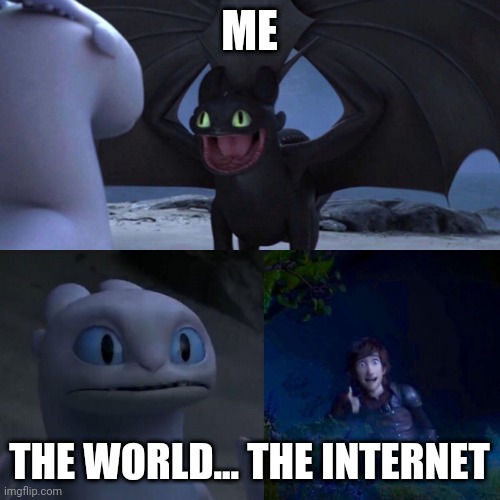 AWKWARD | ME; THE WORLD... THE INTERNET | image tagged in night fury,awkward,the internet,the world | made w/ Imgflip meme maker