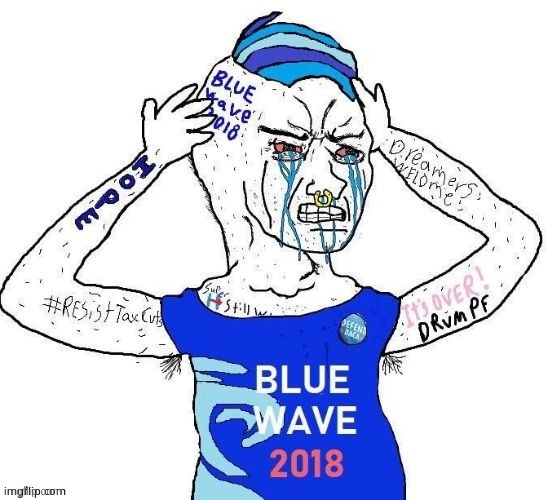 Blue wave liberal | image tagged in blue wave liberal | made w/ Imgflip meme maker