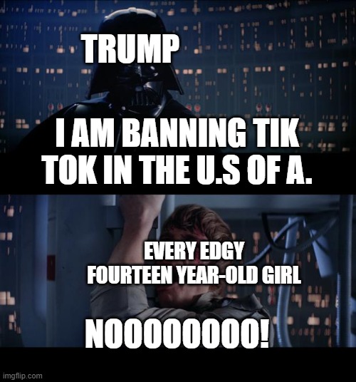 Celebrate the banning of Tik Tok, imgflip! | TRUMP; I AM BANNING TIK TOK IN THE U.S OF A. EVERY EDGY FOURTEEN YEAR-OLD GIRL; NOOOOOOOO! | image tagged in memes,star wars no | made w/ Imgflip meme maker