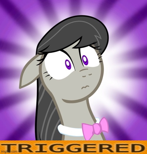 Shocked Octavia Melody | image tagged in shocked octavia melody | made w/ Imgflip meme maker