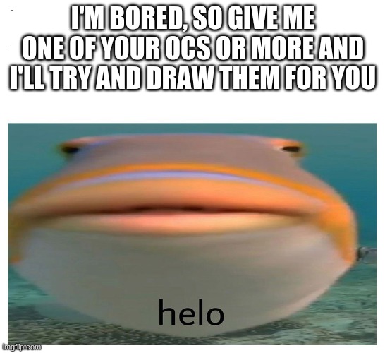 Try not to give my ocs that look too complex | I'M BORED, SO GIVE ME ONE OF YOUR OCS OR MORE AND I'LL TRY AND DRAW THEM FOR YOU | image tagged in helo fish | made w/ Imgflip meme maker