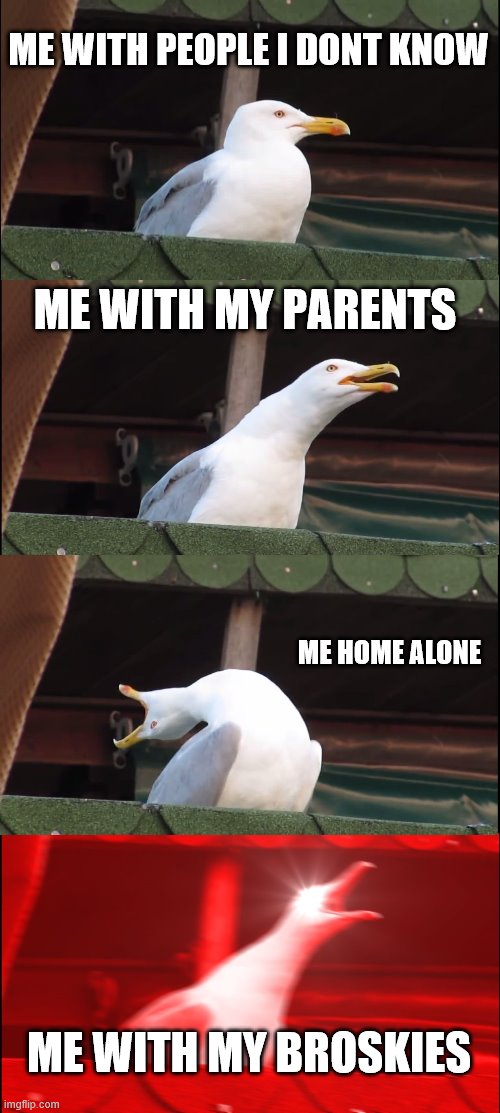 this is so true | ME WITH PEOPLE I DONT KNOW; ME WITH MY PARENTS; ME HOME ALONE; ME WITH MY BROSKIES | image tagged in memes,inhaling seagull | made w/ Imgflip meme maker