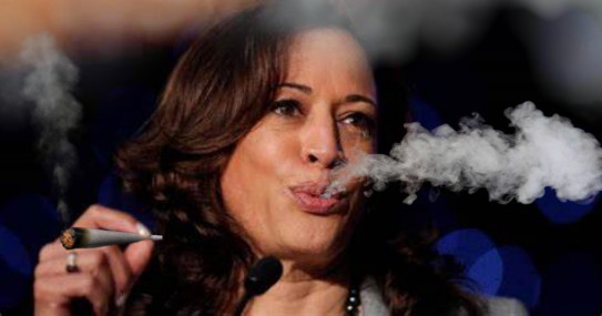 High Quality Kamala Harris stoned Blank Meme Template