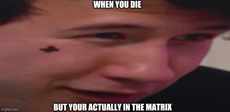 markiplier shocked face | WHEN YOU DIE; BUT YOUR ACTUALLY IN THE MATRIX | image tagged in markiplier shocked face | made w/ Imgflip meme maker