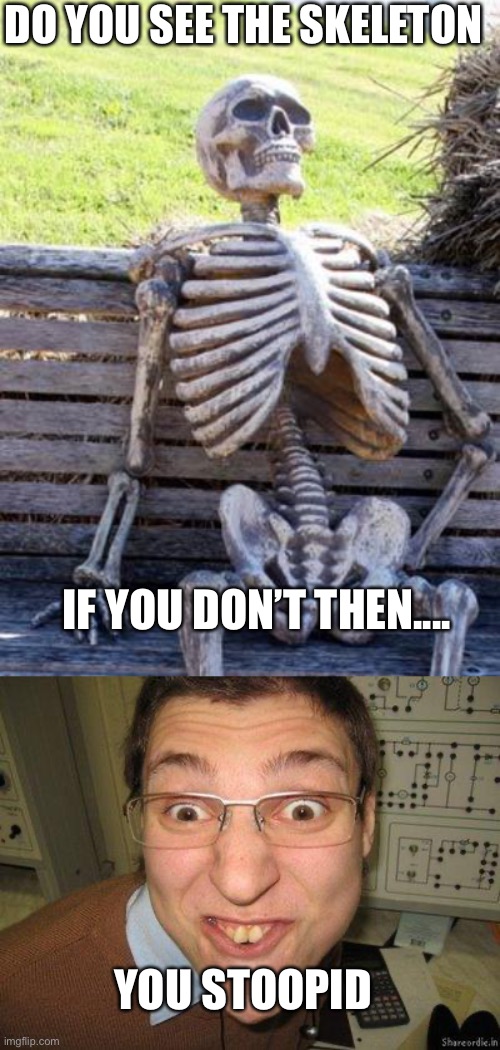 Stoopid | DO YOU SEE THE SKELETON; IF YOU DON’T THEN.... YOU STOOPID | image tagged in memes,waiting skeleton,stoopid | made w/ Imgflip meme maker