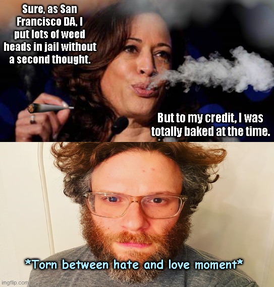 Kamala vexes stoner Rogen | Sure, as San Francisco DA, I put lots of weed heads in jail without a second thought. But to my credit, I was totally baked at the time. *Torn between hate and love moment* | image tagged in kamala harris stoned,seth rogen,stoner,joe biden running mate,liberal hypocrisy,political humor | made w/ Imgflip meme maker