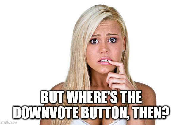 Dumb Blonde | BUT WHERE'S THE DOWNVOTE BUTTON, THEN? | image tagged in dumb blonde | made w/ Imgflip meme maker