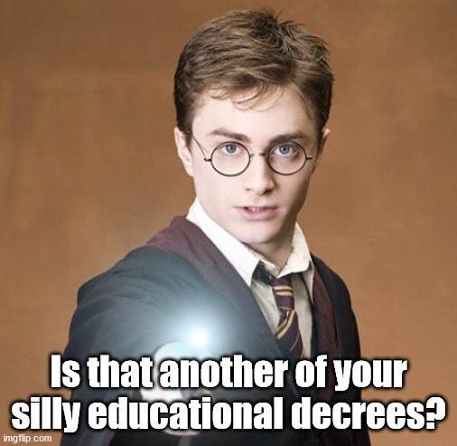 harry potter casting a spell | Is that another of your silly educational decrees? | image tagged in harry potter casting a spell | made w/ Imgflip meme maker