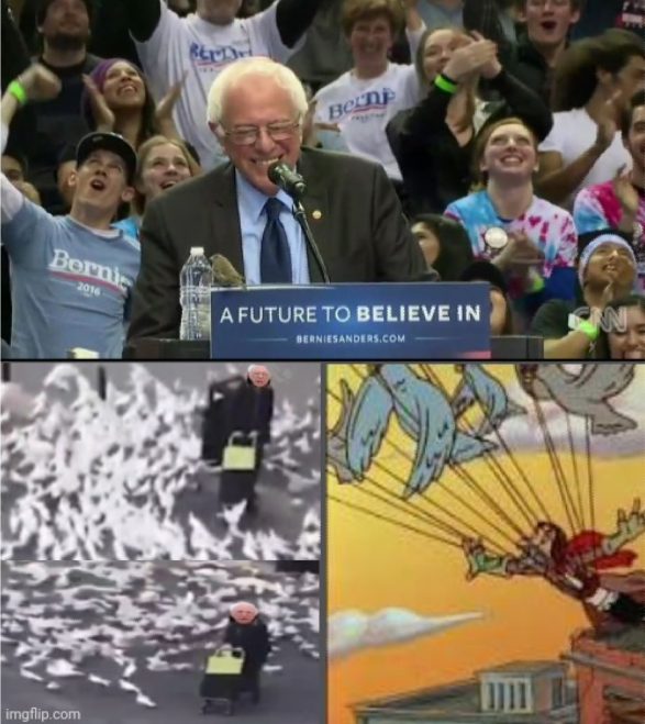 Bernie 2024 Blank Meme Template