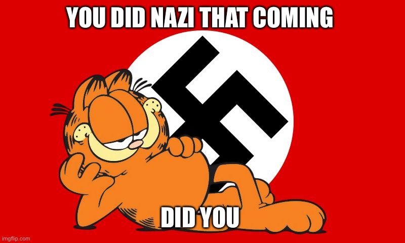 Nazi Garfield | YOU DID NAZI THAT COMING; DID YOU | image tagged in nazi garfield,funny memes | made w/ Imgflip meme maker