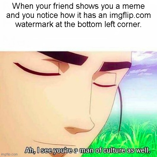 In an unironic context, by the way. | When your friend shows you a meme and you notice how it has an imgflip.com watermark at the bottom left corner. | image tagged in ah i see you are a man of culture as well,memes | made w/ Imgflip meme maker