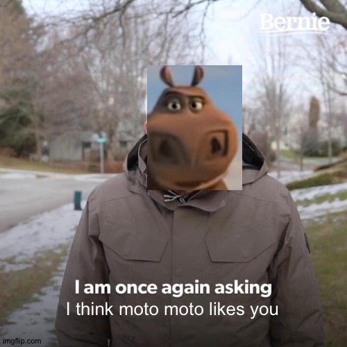 I think Bernie Bernie likes you | I think moto moto likes you | image tagged in memes,bernie i am once again asking for your support,funny,moto moto,i think moto moto likes you,i am once again asking | made w/ Imgflip meme maker