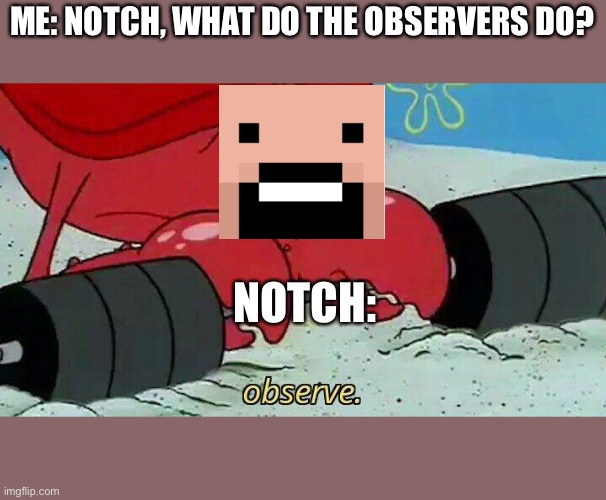 Observe | ME: NOTCH, WHAT DO THE OBSERVERS DO? NOTCH: | image tagged in observe | made w/ Imgflip meme maker