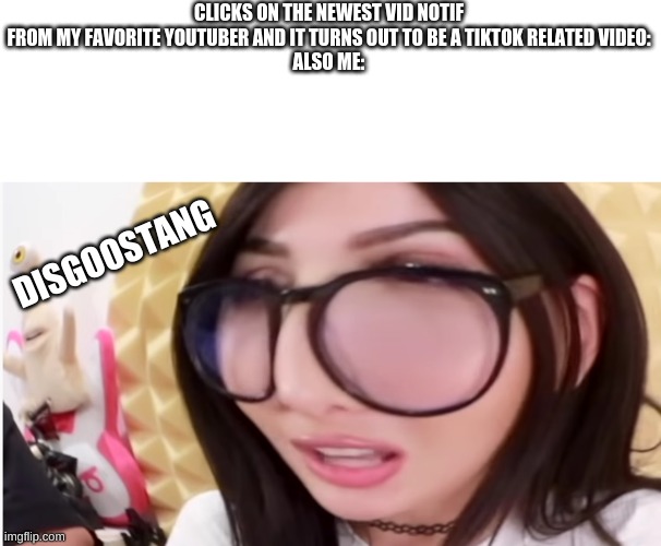 CLICKS ON THE NEWEST VID NOTIF FROM MY FAVORITE YOUTUBER AND IT TURNS OUT TO BE A TIKTOK RELATED VIDEO:
ALSO ME:; DISGOOSTANG | image tagged in sssniperwolf,disgoostang | made w/ Imgflip meme maker