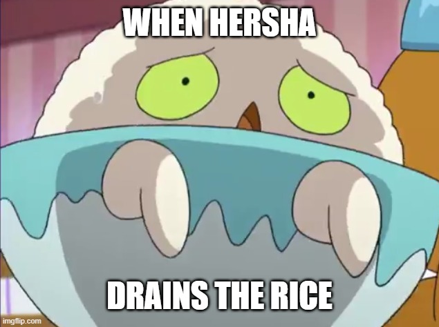 Worse than when Karen took the kids | WHEN HERSHA; DRAINS THE RICE | image tagged in bbc,fried rice | made w/ Imgflip meme maker