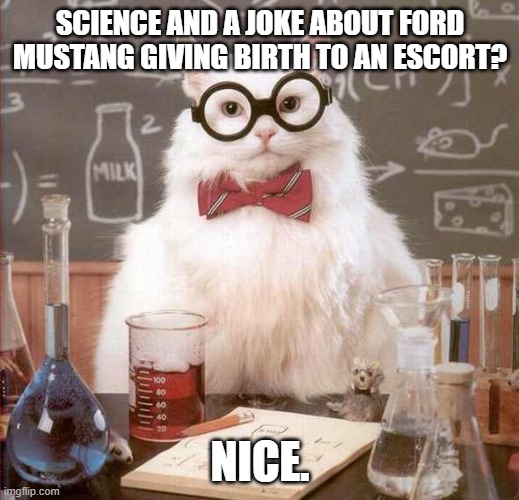 cat scientist | SCIENCE AND A JOKE ABOUT FORD MUSTANG GIVING BIRTH TO AN ESCORT? NICE. | image tagged in cat scientist | made w/ Imgflip meme maker