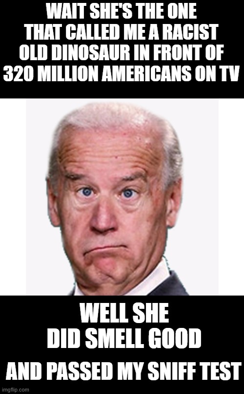 YES SHE IS | WAIT SHE'S THE ONE THAT CALLED ME A RACIST OLD DINOSAUR IN FRONT OF 320 MILLION AMERICANS ON TV; WELL SHE DID SMELL GOOD; AND PASSED MY SNIFF TEST | image tagged in joe biden,democrats,communism,2020 elections | made w/ Imgflip meme maker