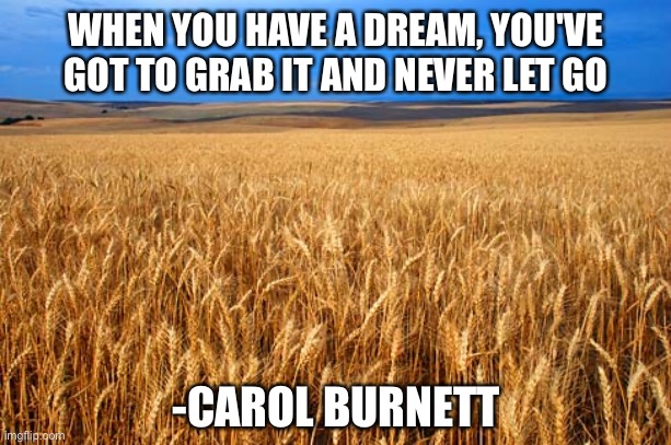 WHEN YOU HAVE A DREAM, YOU'VE GOT TO GRAB IT AND NEVER LET GO; -CAROL BURNETT | image tagged in memes,motivational | made w/ Imgflip meme maker