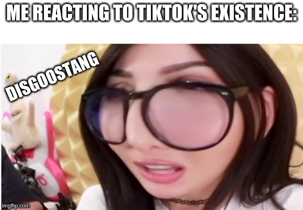 ME REACTING TO TIKTOK'S EXISTENCE: | made w/ Imgflip meme maker