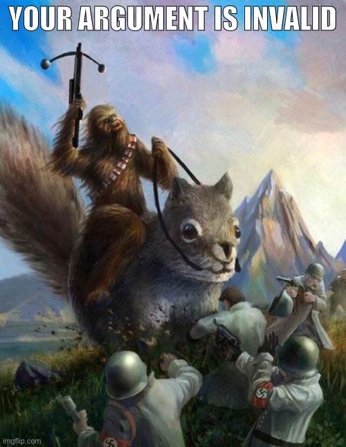 When their argument is this. | YOUR ARGUMENT IS INVALID | image tagged in wookie riding a squirrel killing nazis your argument is invalid,argument,your argument is invalid,trolling the troll,internet tr | made w/ Imgflip meme maker