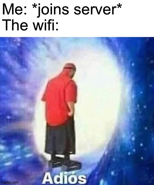 Adios | Me: *joins server*
The wifi: | image tagged in adios,memes,funny,wifi,gaming,server | made w/ Imgflip meme maker