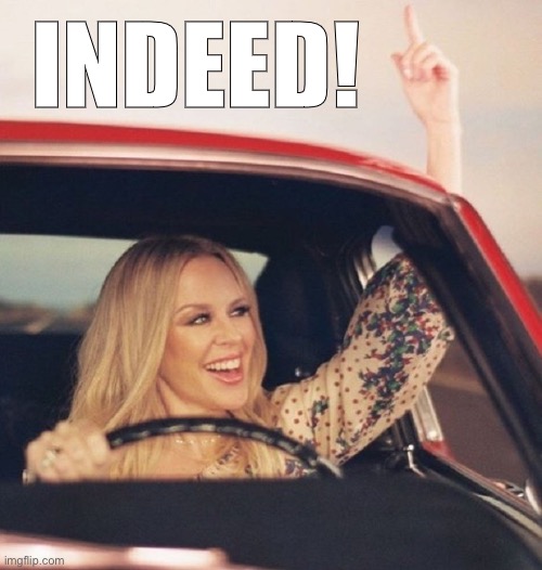 Kylie driving | INDEED! | image tagged in kylie driving | made w/ Imgflip meme maker