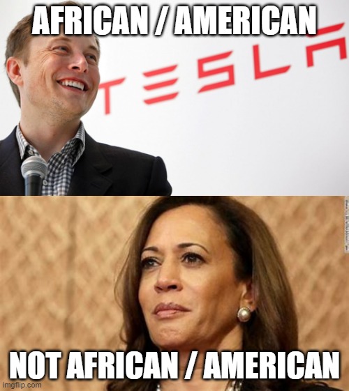 kamala | AFRICAN / AMERICAN; NOT AFRICAN / AMERICAN | image tagged in slavery | made w/ Imgflip meme maker