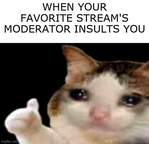 :C | WHEN YOUR FAVORITE STREAM'S MODERATOR INSULTS YOU | image tagged in just white,sad cat thumbs up | made w/ Imgflip meme maker