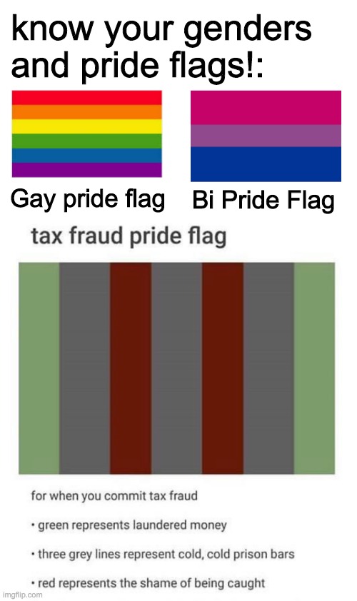 What's your Gender? TAX EVASION | know your genders and pride flags!:; Gay pride flag; Bi Pride Flag | image tagged in no | made w/ Imgflip meme maker