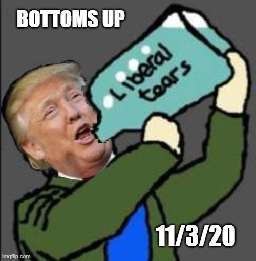 Liberal tears | BOTTOMS UP 11/3/20 | image tagged in liberal tears | made w/ Imgflip meme maker