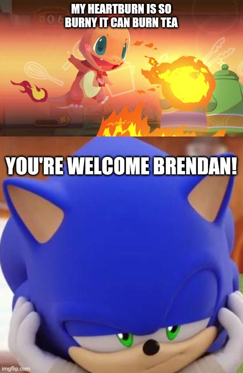 Sonic and Pokemon | MY HEARTBURN IS SO BURNY IT CAN BURN TEA; YOU'RE WELCOME BRENDAN! | image tagged in why | made w/ Imgflip meme maker