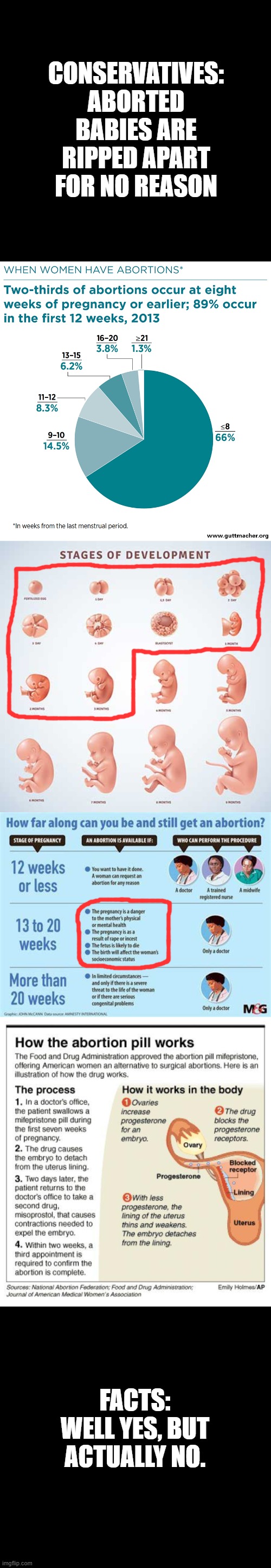 Abortion facts | CONSERVATIVES: ABORTED BABIES ARE RIPPED APART FOR NO REASON; FACTS: WELL YES, BUT ACTUALLY NO. | image tagged in abortion,facts,liberal vs conservative,pro choice | made w/ Imgflip meme maker