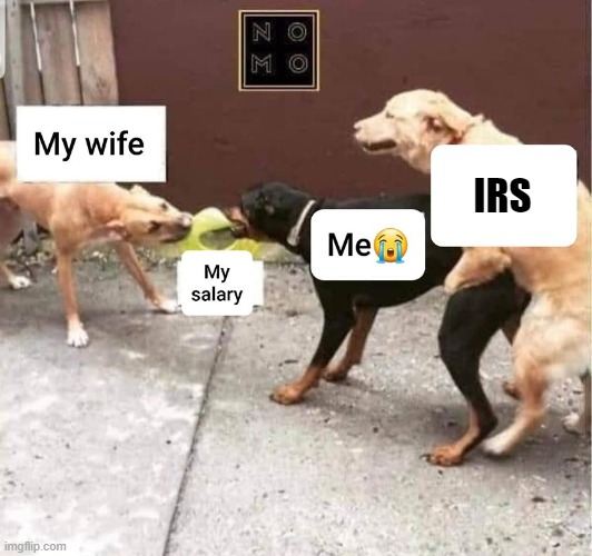 Ain't that the truth... | IRS | image tagged in irs,money,dogs | made w/ Imgflip meme maker